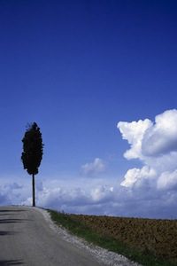 Another Tuscon Road Italy